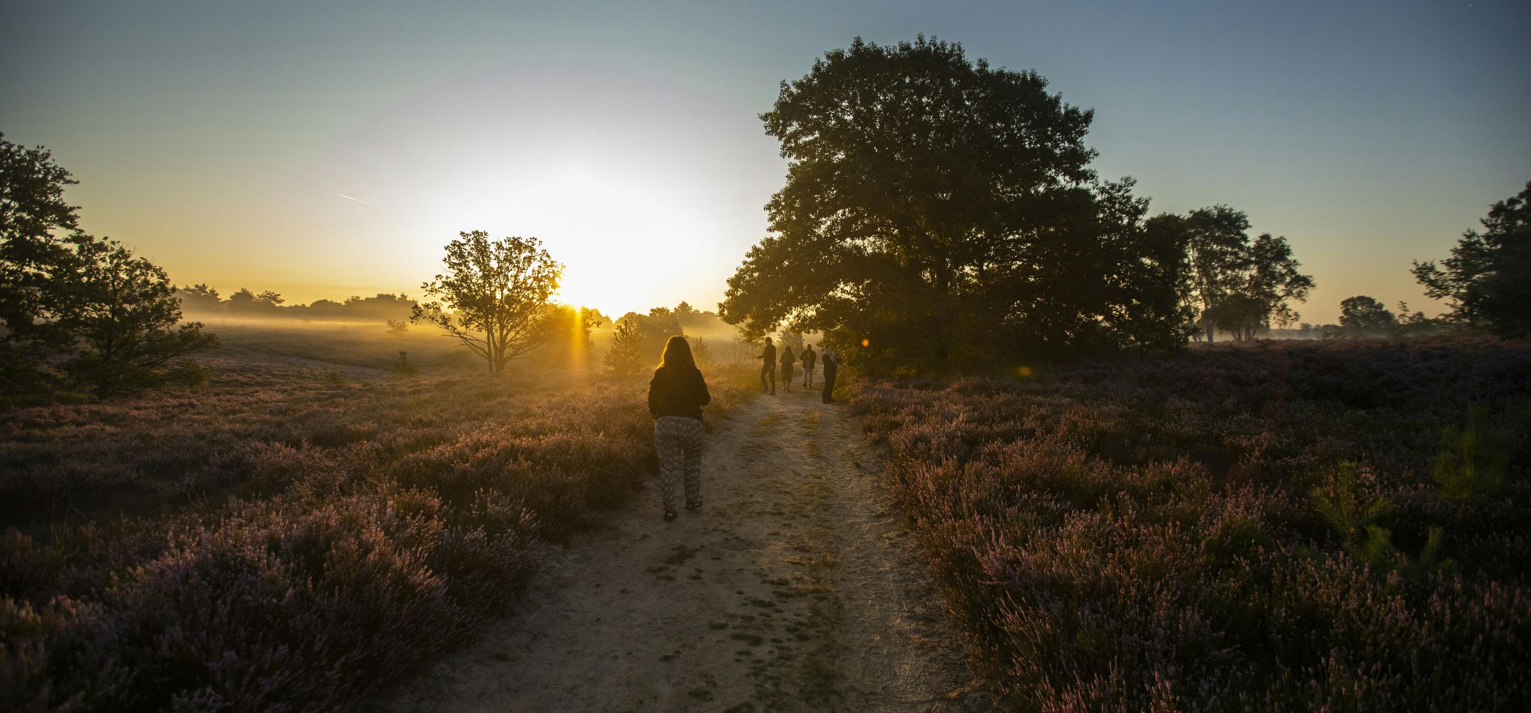 MaasMauve Heidedagen - Workshop Landschapsfotografie