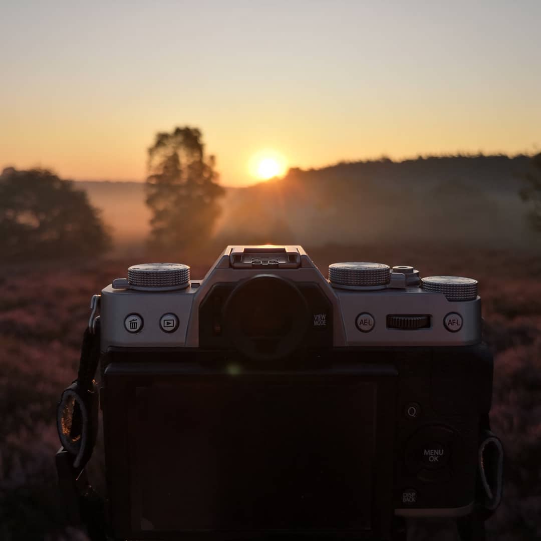 Met deze fotografie tips trek jij de mooiste foto's van de Mechelse Heide