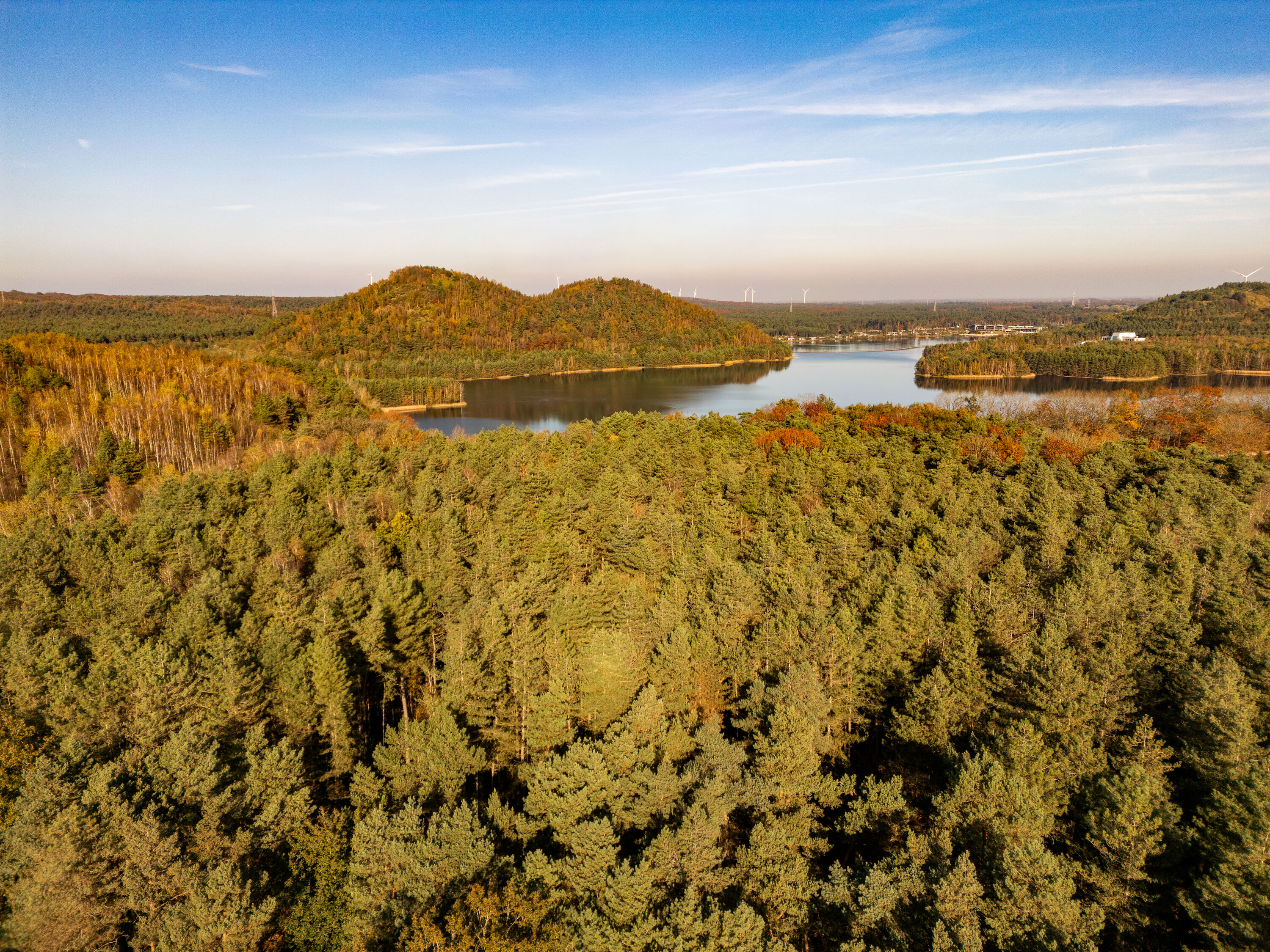 Hoge Kempen National Park Terhills Hiking Biking Adventure In hoge-kempen-national-park-terhills-hiking-biking-adventure-in